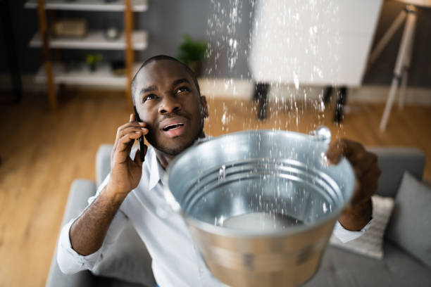 Best Water damage restoration mold remediation  in Massapequa, NY