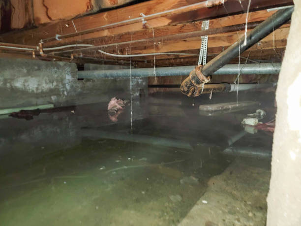 Best Flooded house restoration  in Massapequa, NY