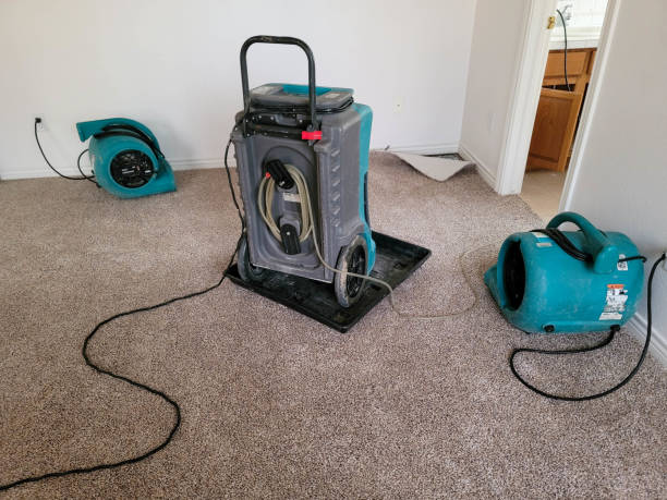 Best 24-hour water damage restoration  in Massapequa, NY
