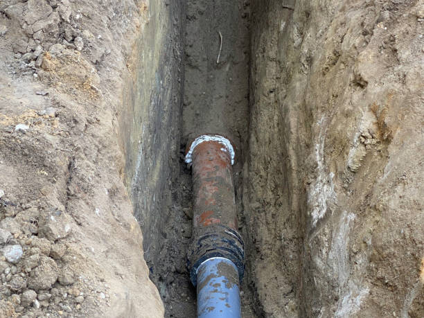 Best Professional water damage repair  in Massapequa, NY