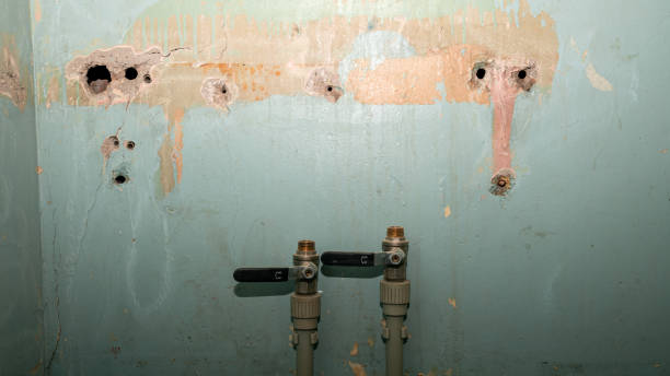 Best Mold removal after water damage  in Massapequa, NY