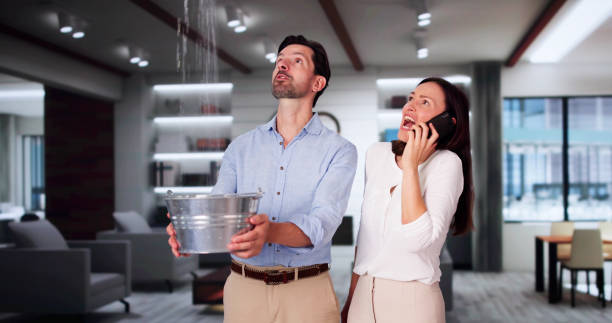 Best Water damage contractors near me  in Massapequa, NY